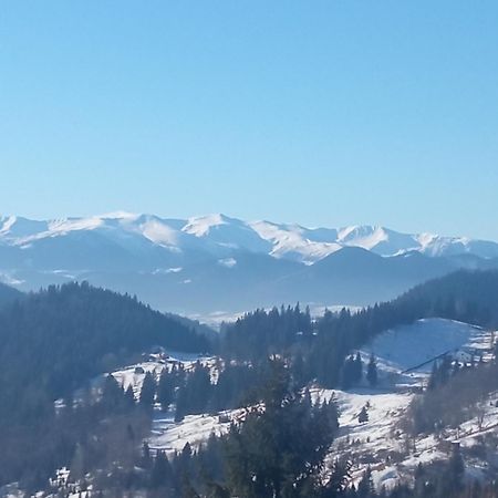 На Березові Krivorovnya Екстериор снимка
